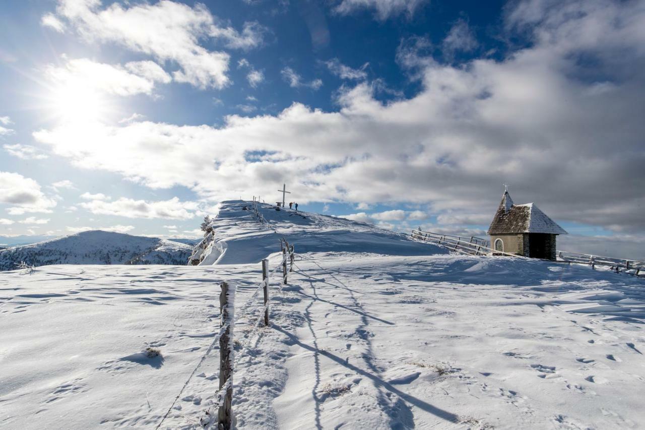 Luxury Chalet Kreischberg 11A St. Lorenzen ob Murau Zewnętrze zdjęcie